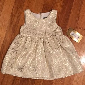 Baby girl holiday dress
